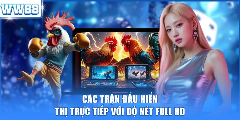 Các trận đấu hiển thị trực tiếp với độ nét Full HD 